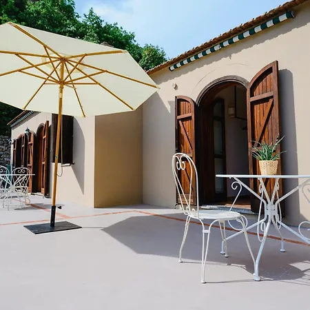 The Lemon Garden By Elite *